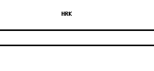 Human HRK qPCR primer set (NM_003806)