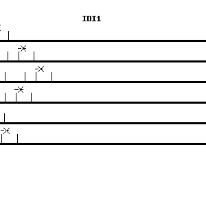 Human IDI1 qPCR primer set (NM_004508)
