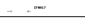 Human IFNA17 qPCR primer set (NM_021268)