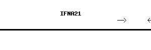 Human IFNA21 qPCR primer set (NM_002175)