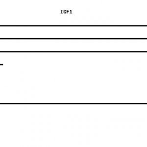 Human IGF1 qPCR primer set (NM_000618)