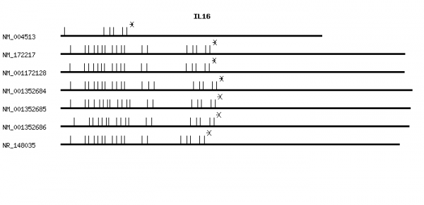 Human IL16 qPCR primer set (NM_004513)