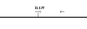 Human IL17F qPCR primer set (NM_052872)