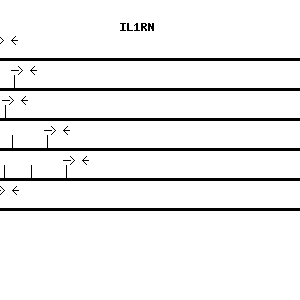 Human IL1RN qPCR primer set (NM_000577)