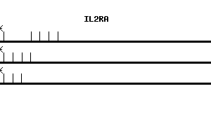 Human IL2RA qPCR primer set (NM_000417)