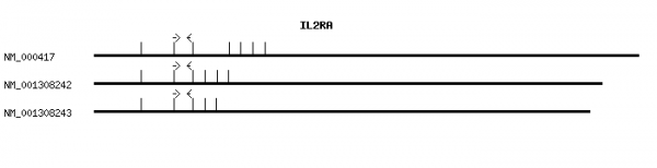 Human IL2RA qPCR primer set (NM_000417)