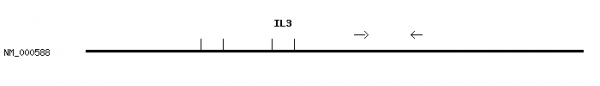 Human IL3 qPCR primer set (NM_000588)