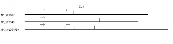 Human IL4 qPCR primer set (NM_000589)