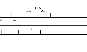 Human IL6 qPCR primer set (NM_000600)