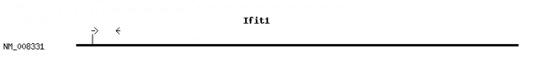 Mouse Ifit1 qPCR primer set (NM_008331)