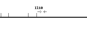 Mouse Il10 qPCR primer set (NM_010548)
