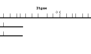 Mouse Itgax qPCR primer set (NM_021334)