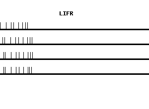 Human LIFR qPCR primer set (NM_002310)