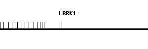 Human LRRK1 qPCR primer set (NM_024652)