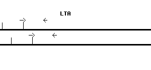 Human LTA qPCR primer set (NM_000595)