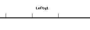 Mouse Lefty1 qPCR primer set (NM_010094)