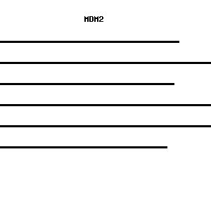 Human MDM2 qPCR primer set (NM_002392)