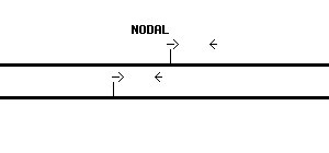 Human NODAL qPCR primer set (NM_018055)