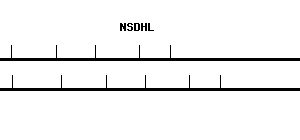 Human NSDHL qPCR primer set (NM_015922)
