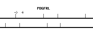Human PDGFRL qPCR primer set (NM_006207)