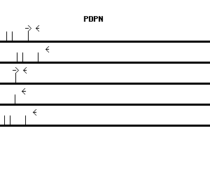 Human PDPN qPCR primer set (NM_006474)