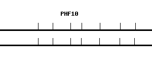 Human PHF10 qPCR primer set (NM_018288)