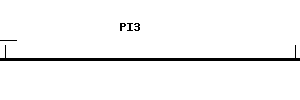 Human PI3 qPCR primer set (NM_002638)