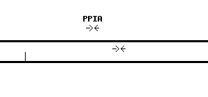 Human PPIA qPCR primer set (NM_021130)