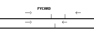 Human PYCARD qPCR primer set (NM_013258)