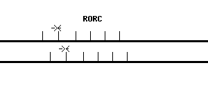 Human RORC qPCR primer set (NM_005060)
