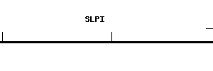 Human SLPI qPCR primer set (NM_003064)