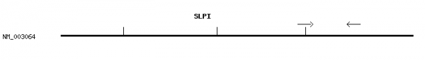 Human SLPI qPCR primer set (NM_003064)