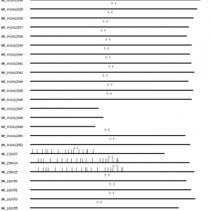 Human SULF1 qPCR primer set (NM_015170)