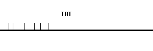 Human TAT qPCR primer set (NM_000353)