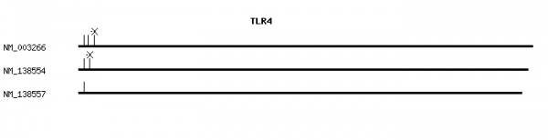 Human TLR4 qPCR primer set (NM_003266)