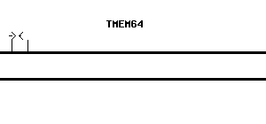 Human TMEM64 qPCR primer set (NM_001008495)