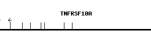 Human TNFRSF10A qPCR primer set (NM_003844)