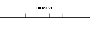 Human TNFRSF21 qPCR primer set (NM_014452)