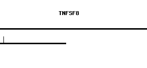 Human TNFSF8 qPCR primer set (NM_001244)