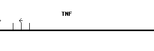 Human TNF qPCR primer set (NM_000594)