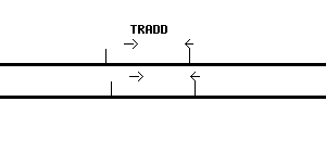 Human TRADD qPCR primer set (NM_003789)
