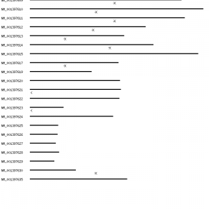 Human TRPM8 qPCR primer set (NM_024080)