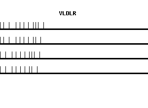 Human VLDLR qPCR primer set (NM_003383)