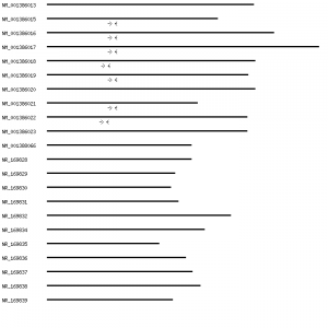 Human ZCWPW1 qPCR primer set (NM_017984)
