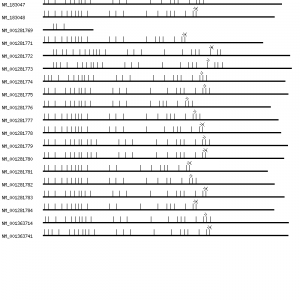Human ZMYND8 qPCR primer set (NM_012408)