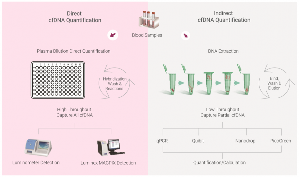 Generic cfDNA Quantification DiaCarta, Inc.